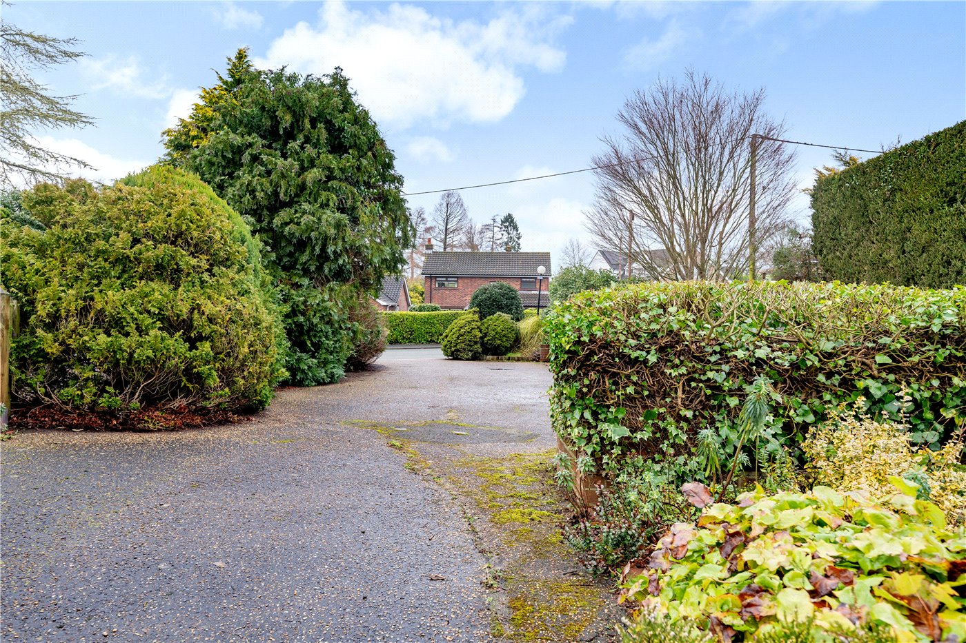 Driveway